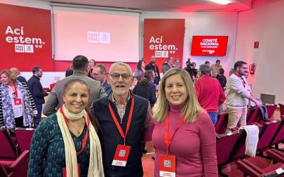 COMITE NACIONAL DEL PSPV PSOE
